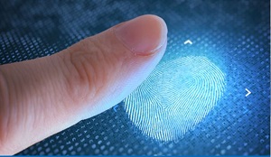 Fingerprint Evidence